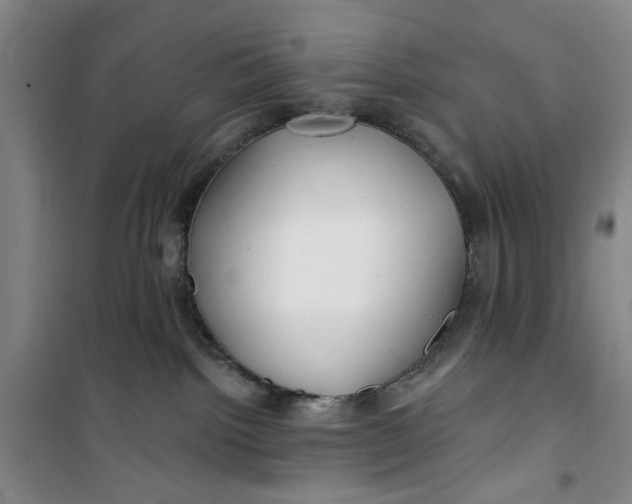 X0000100970092200807151402