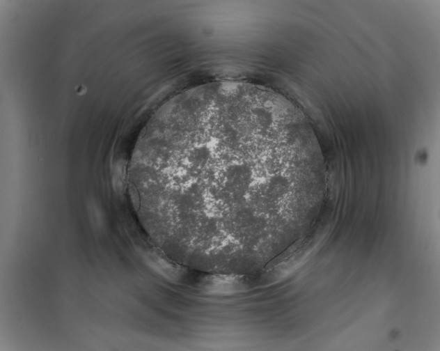 X0000100970093200807151402