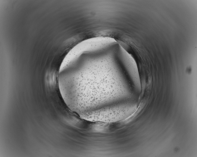 X0000100970094200807151402