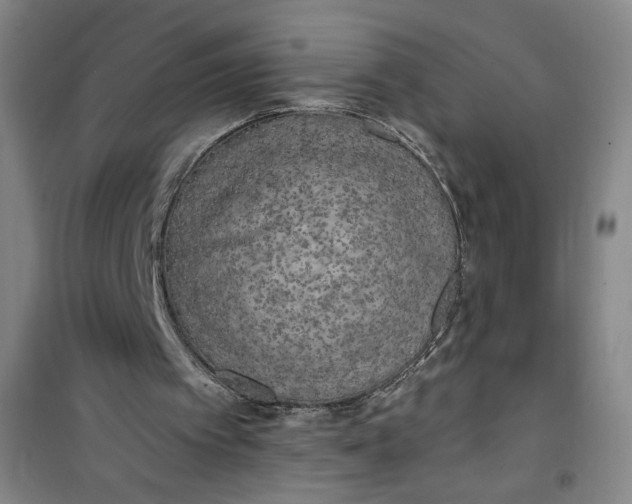 X0000100970097200807151401