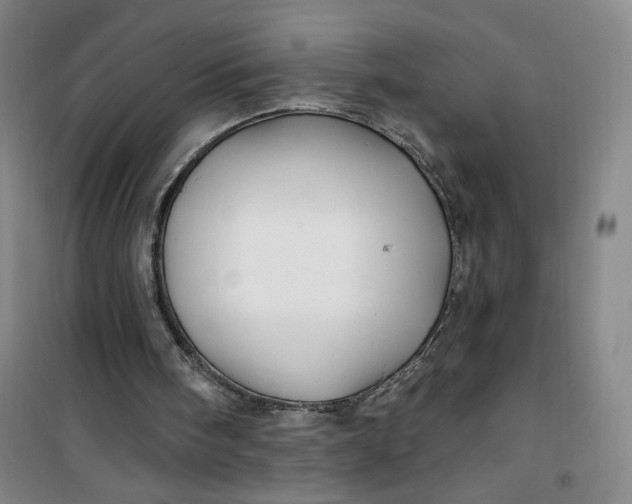 X0000100970098200807151401