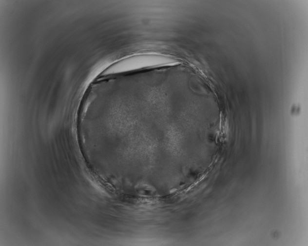 X0000100970099200807151401