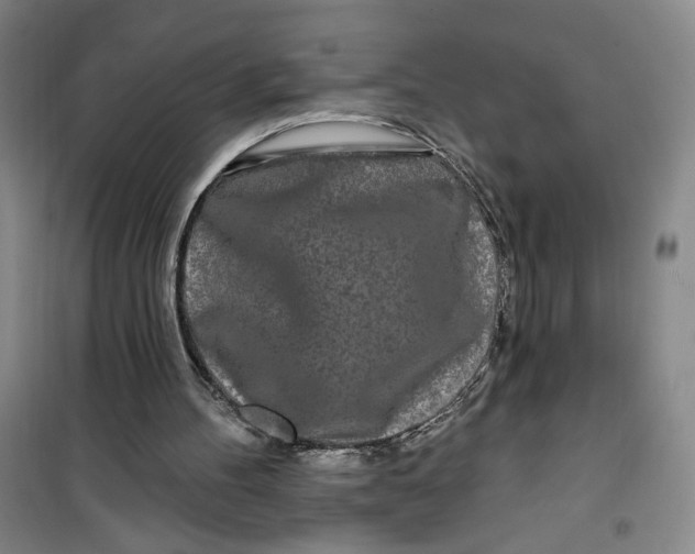 X0000100970100200807151401