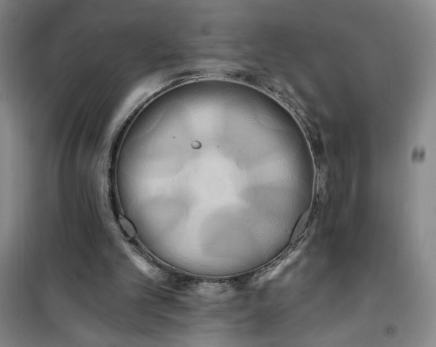 X0000100970101200807151401