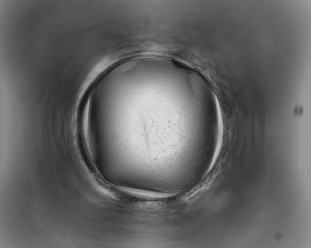 X0000100970102200807151401