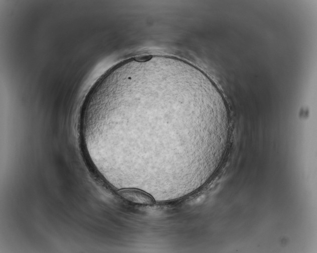 X0000100970103200807151401