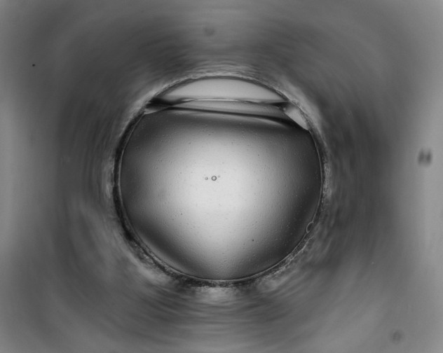 X0000100970107200807151401