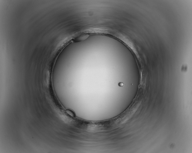 X0000100970109200807151401