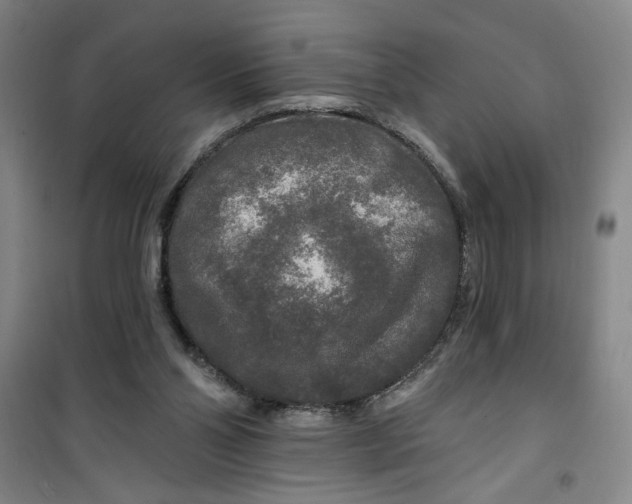 X0000100970110200807151401