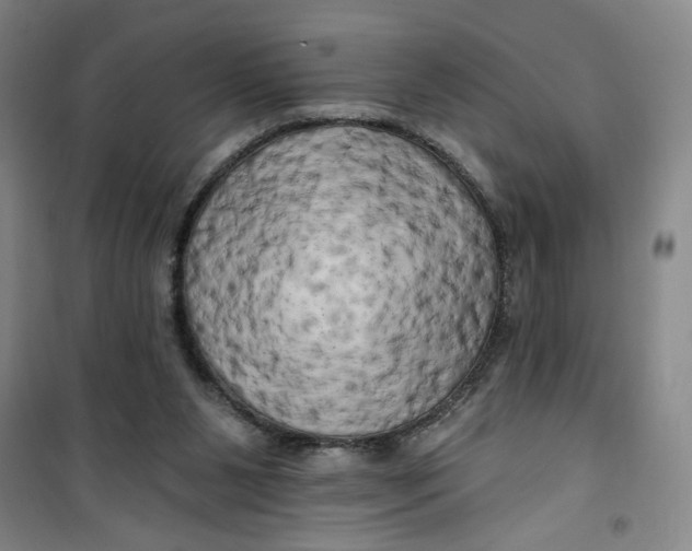 X0000100970111200807151401