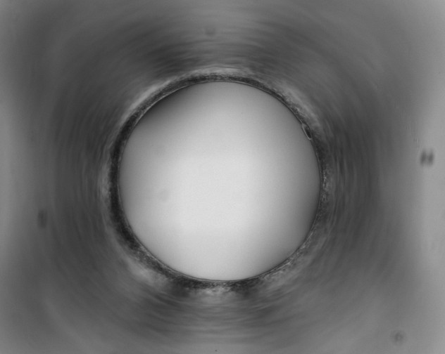 X0000100970112200807151401