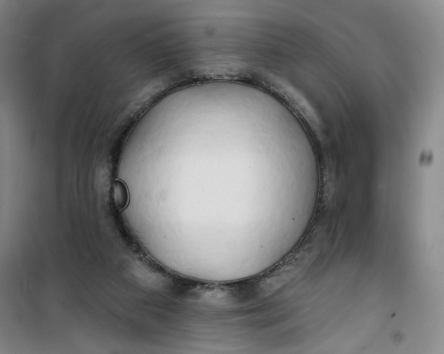 X0000100970113200807151401