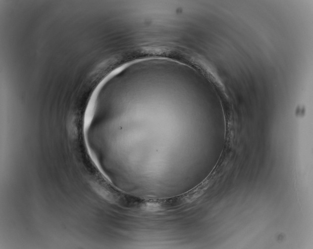 X0000100970114200807151401