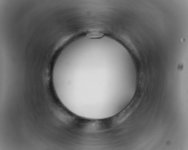 X0000100970116200807151401