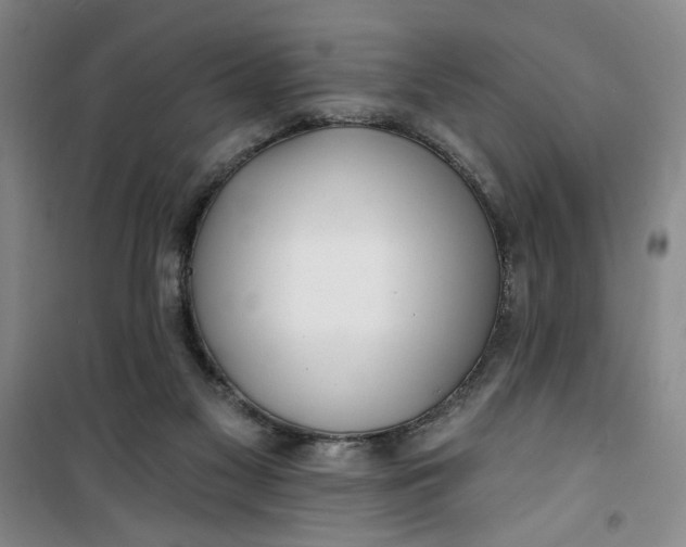 X0000100970117200807151401