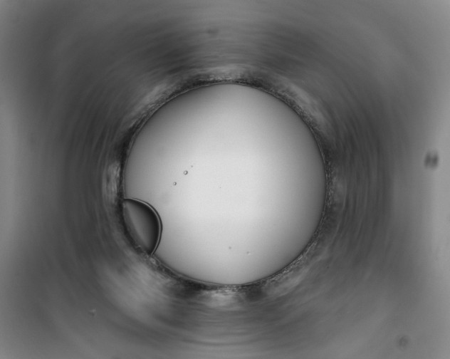 X0000100970118200807151401