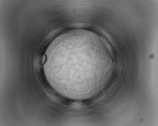 X0000100970119200807151401