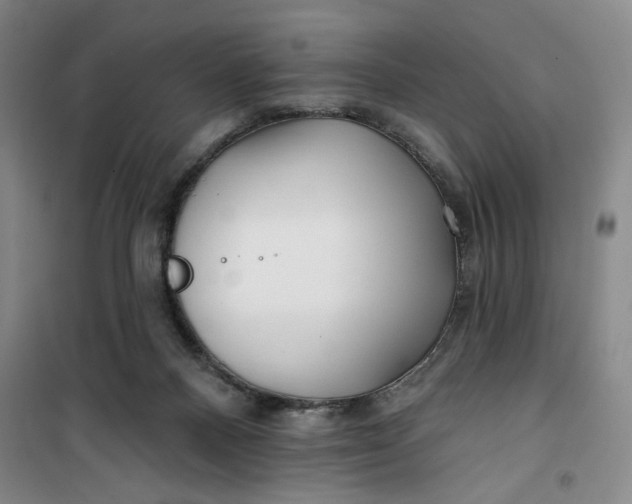X0000100970120200807151401