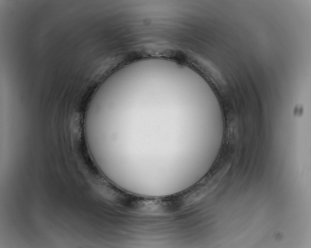 X0000100970121200807151401