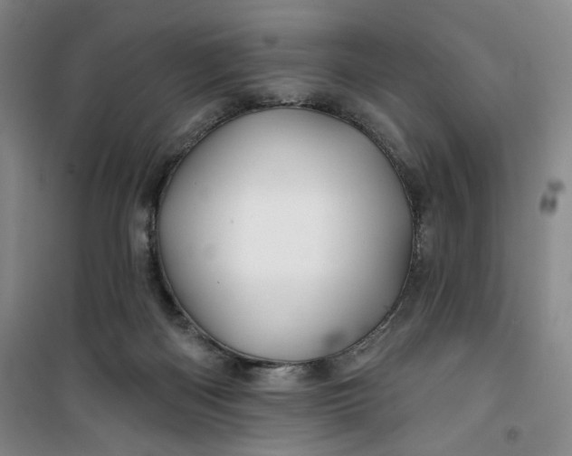 X0000100970122200807151401