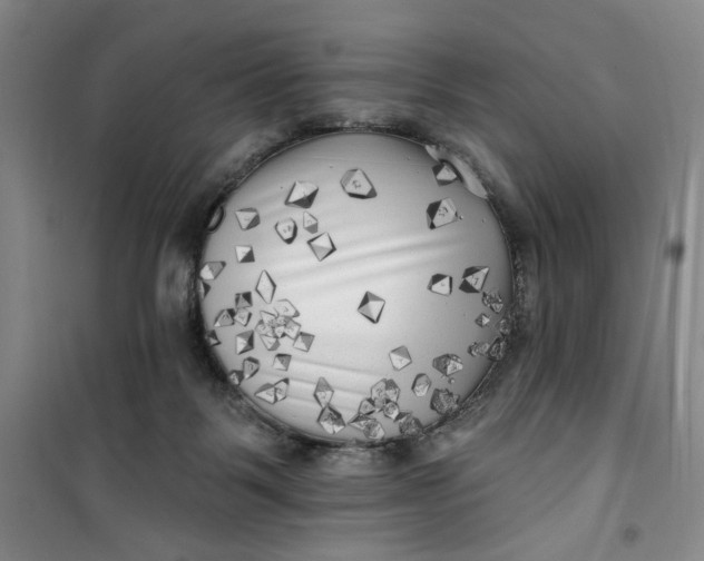 X0000100970123200807151401