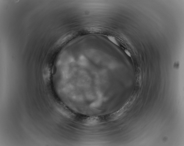 X0000100970124200807151401