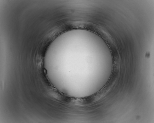 X0000100970125200807151401
