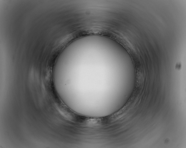 X0000100970126200807151401