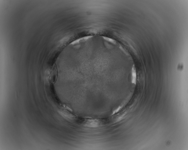 X0000100970127200807151401