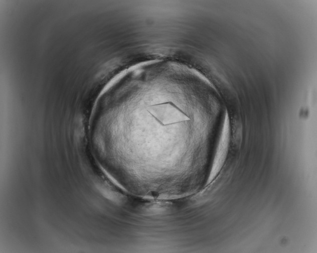 X0000100970128200807151400