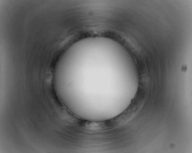 X0000100970129200807151400