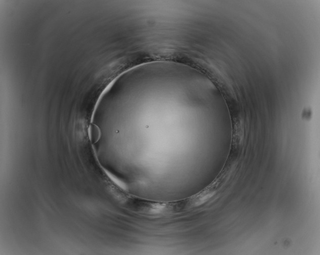 X0000100970130200807151400