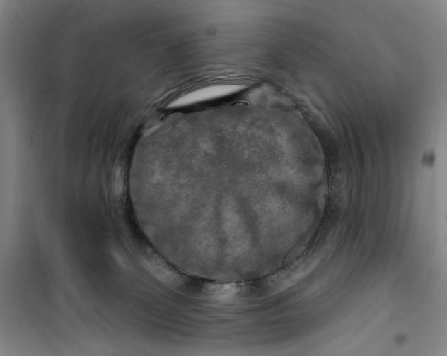 X0000100970131200807151400