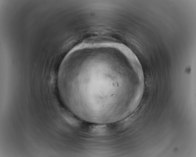 X0000100970132200807151400