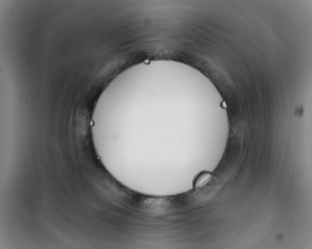 X0000100970133200807151400