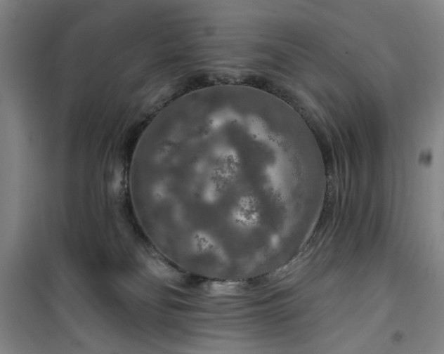 X0000100970134200807151400