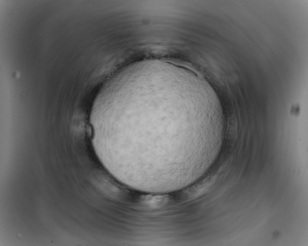 X0000100970135200807151400
