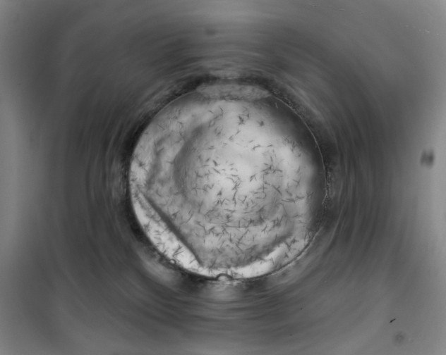 X0000100970136200807151400