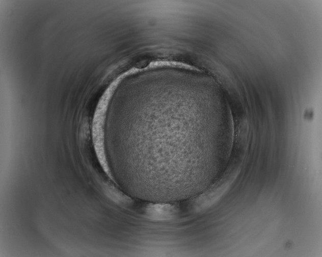 X0000100970137200807151400