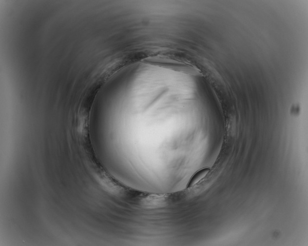 X0000100970138200807151400