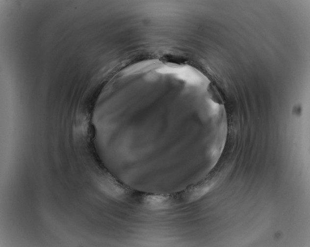X0000100970139200807151400