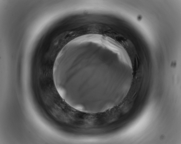 X0000100970143200807151400