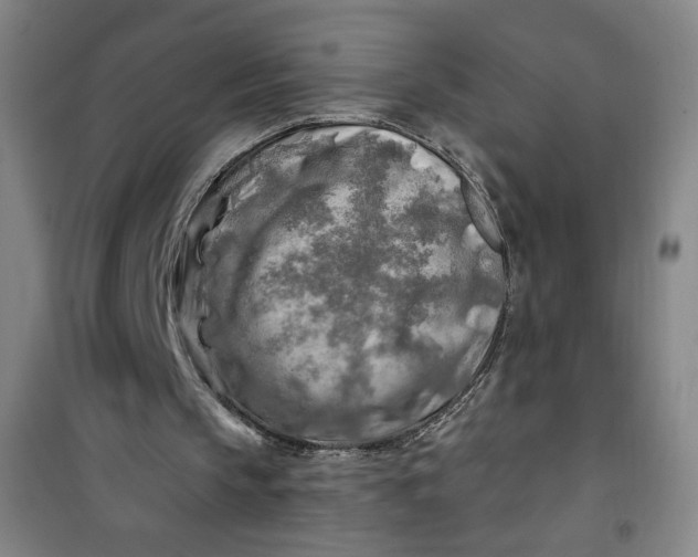 X0000100970145200807151359