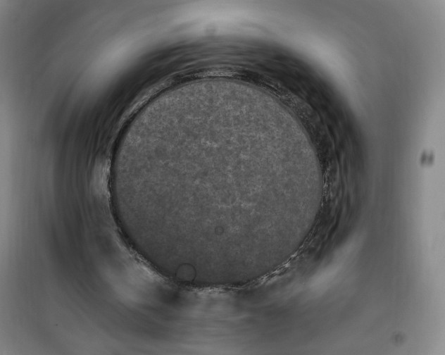 X0000100970146200807151359