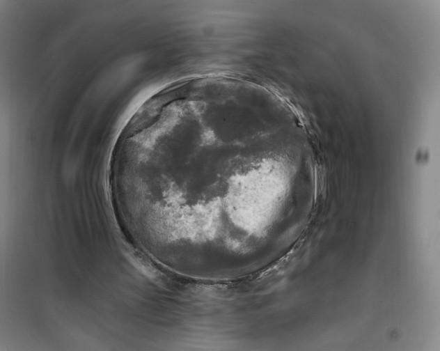 X0000100970147200807151400