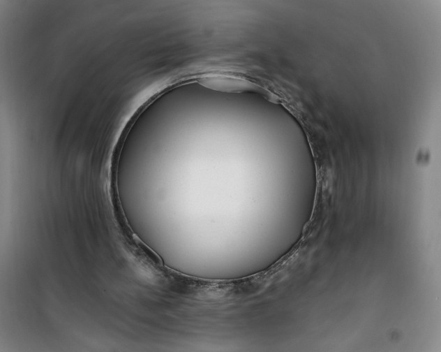 X0000100970148200807151400