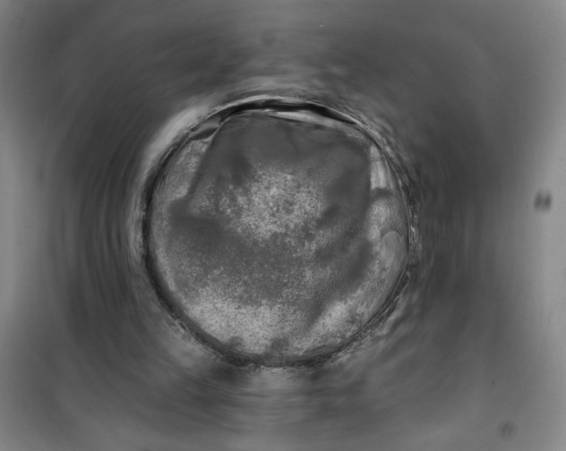 X0000100970149200807151400