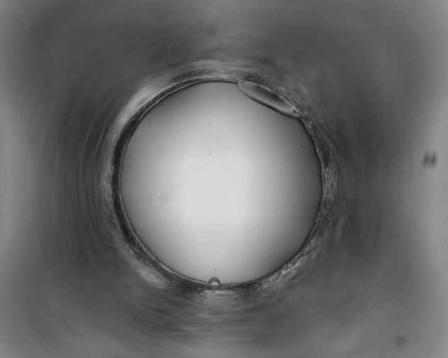 X0000100970150200807151400