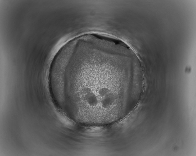 X0000100970151200807151400