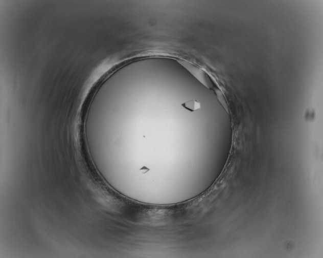 X0000100970152200807151400